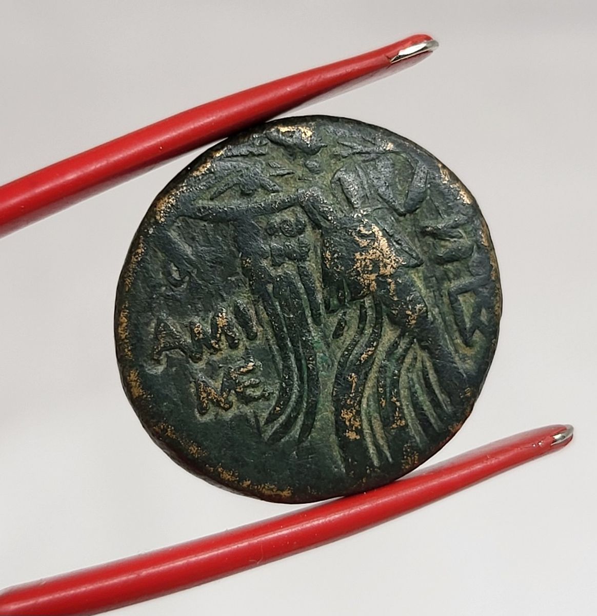 Amisos, Mithradates VI, Medusas hode