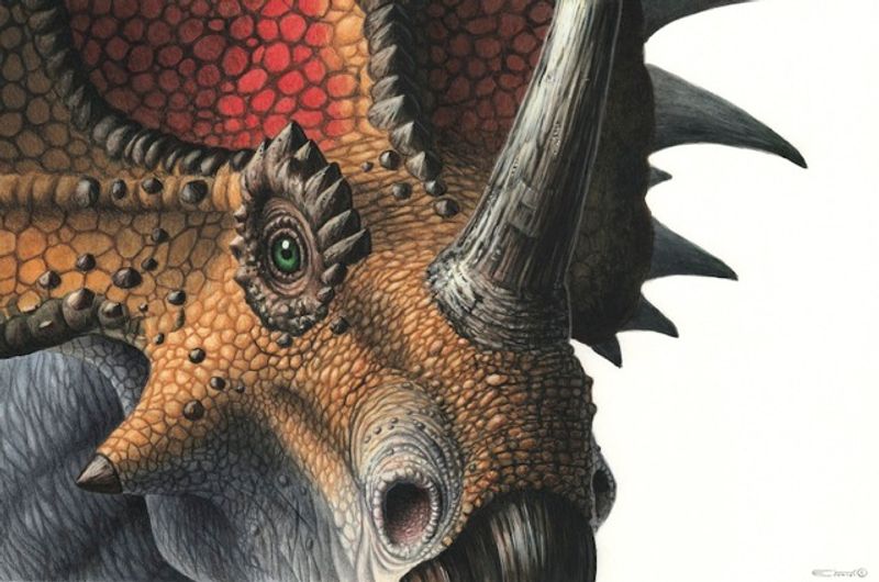 Styracosaurus - kort
