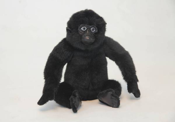 Bilde av Gorilla-baby