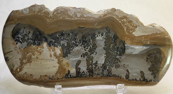 Hovedbilde Cotham Marble, landskapsmarmor