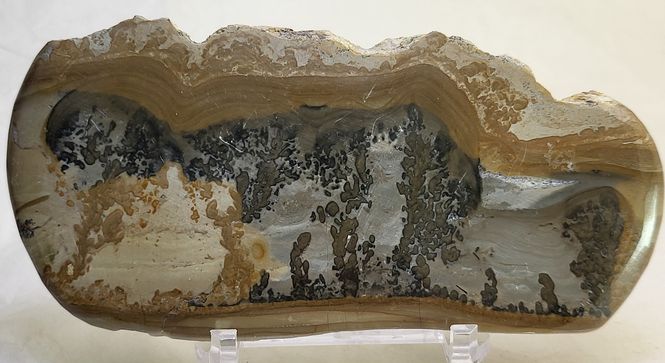 Hovedbilde Cotham Marble, landskapsmarmor