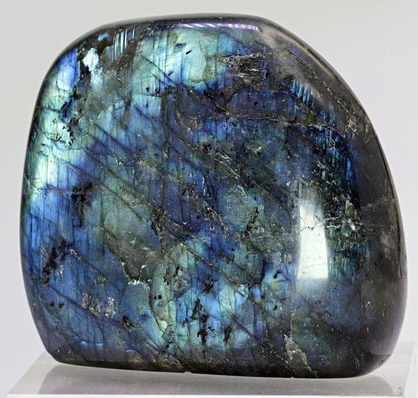Hovedbilde Labradoritt/spektrolitt, helslipt (labradorite, spectrolite)