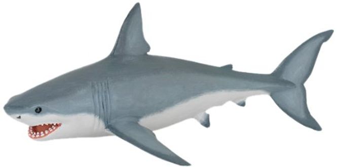 Hovedbilde Hvithai (Carcharodon carcharias)