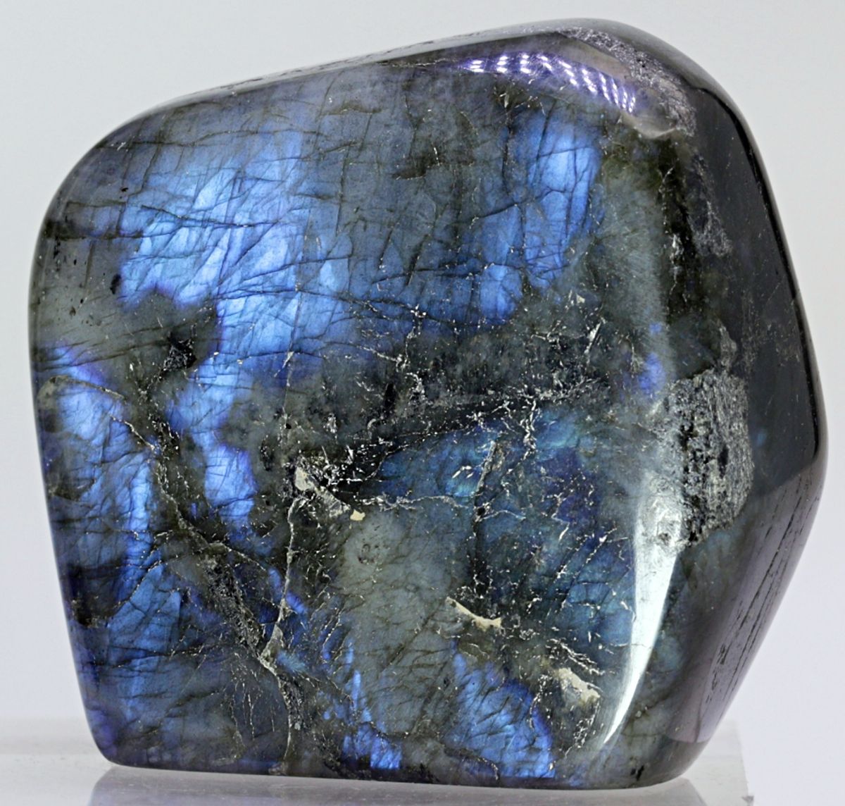 Labradoritt/spektrolitt, helslipt (labradorite, spectrolite)