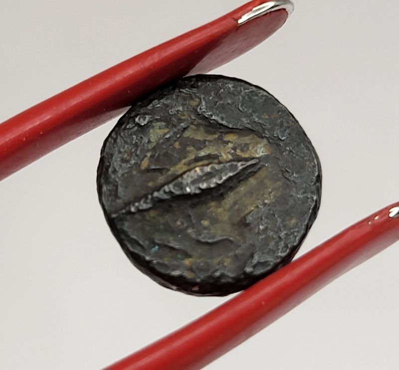 Athene på mynt fra Elaia, år 300-200 f.Kr.