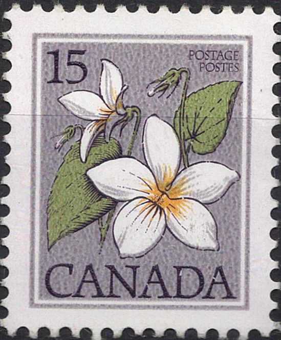 Hovedbilde Blomster og planter, Nord-Amerika og Karibia
