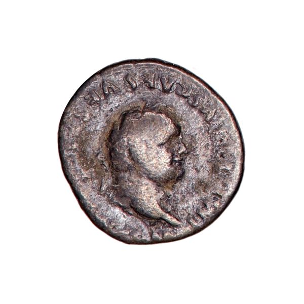 Hovedbilde Vespasian, denar, 69-79, elefant