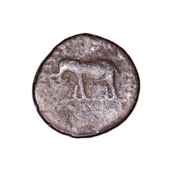 Hovedbilde Vespasian, denar, 69-79, elefant