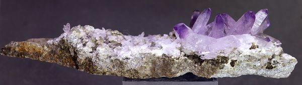 Hovedbilde Dekorativ ametystkrystallgruppe, Veracruz, Mexico