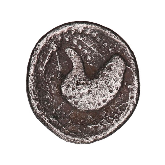 Hovedbilde Snabelhest, Costoboci, år 200-100 f.Kr.