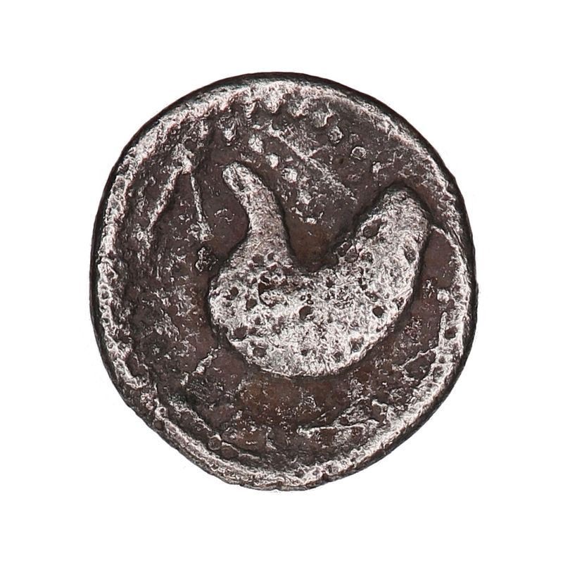 Snabelhest, Costoboci, år 200-100 f.Kr.
