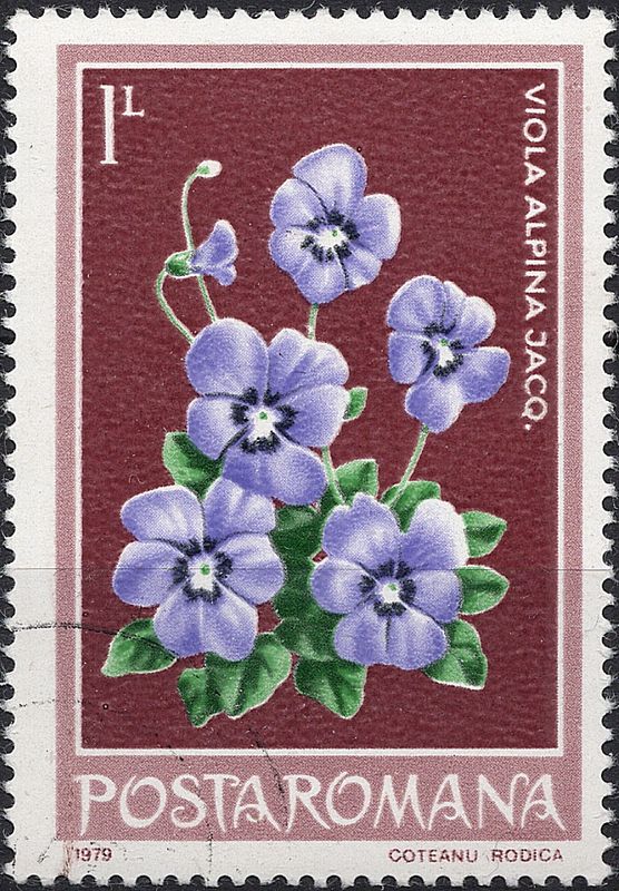 Blomster og planter, Øst-Europa