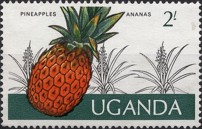 Blomster og planter, Afrika