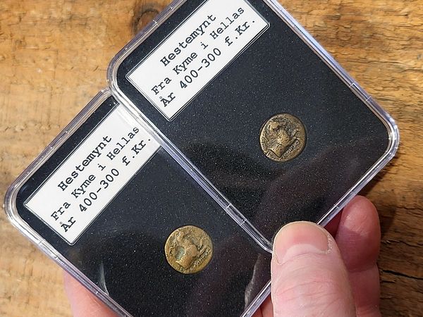 Hovedbilde Hest fra Kyme, 400-300 f.Kr.