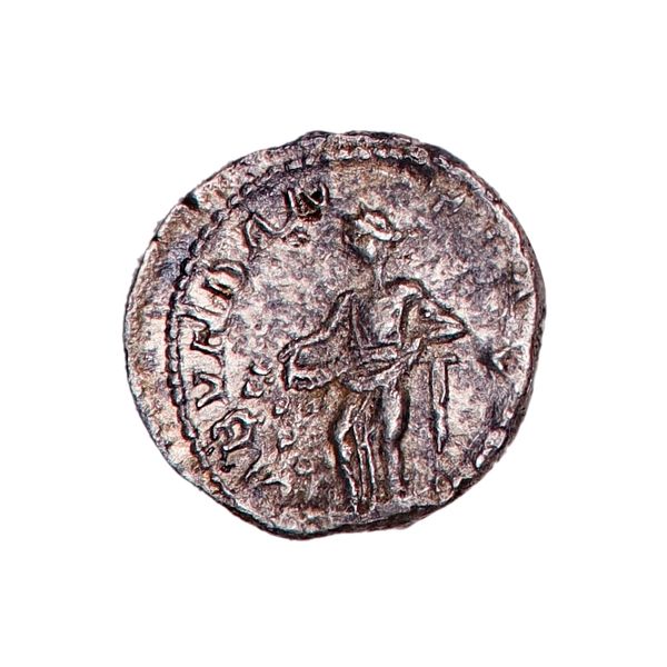 Hovedbilde Elagabal, denarius, år 218-222, overflod