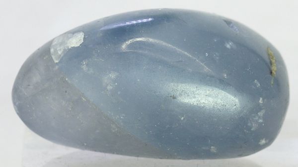 Hovedbilde Cølestin, tromlet