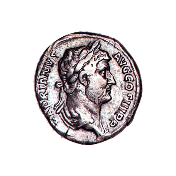 Hovedbilde Hadrian, denar 117-138,  hare