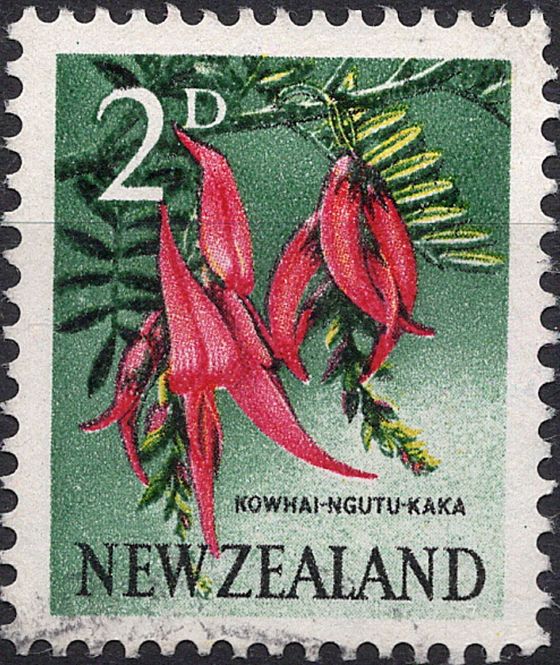 Hovedbilde Blomster og planter, Australia og Oceania
