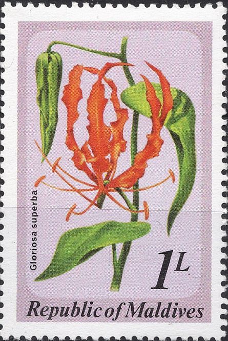 Hovedbilde Blomster og planter, Asia