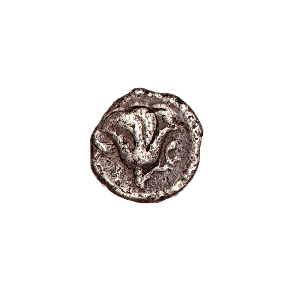 Rhodos, halvdrakme, 305-275 f.Kr.