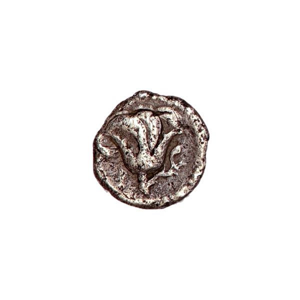 Hovedbilde Rhodos, halvdrakme, 305-275 f.Kr.