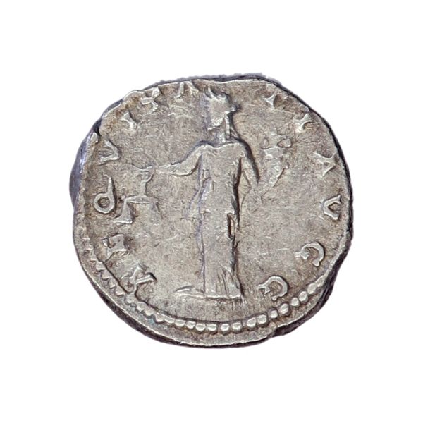 Hovedbilde Septimius Severus. denar. år 193-211