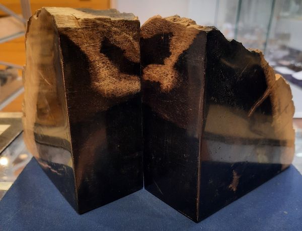 Hovedbilde Bokstøtter av fossilt tre, Indonesia