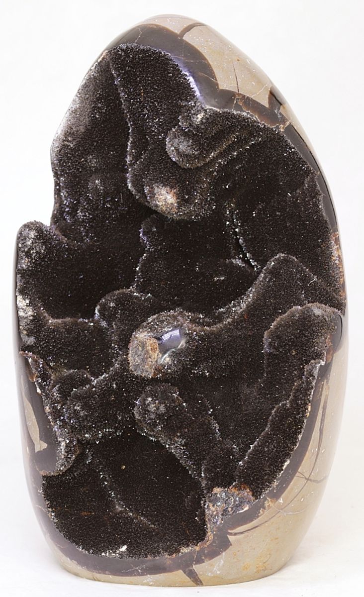 Septarian (