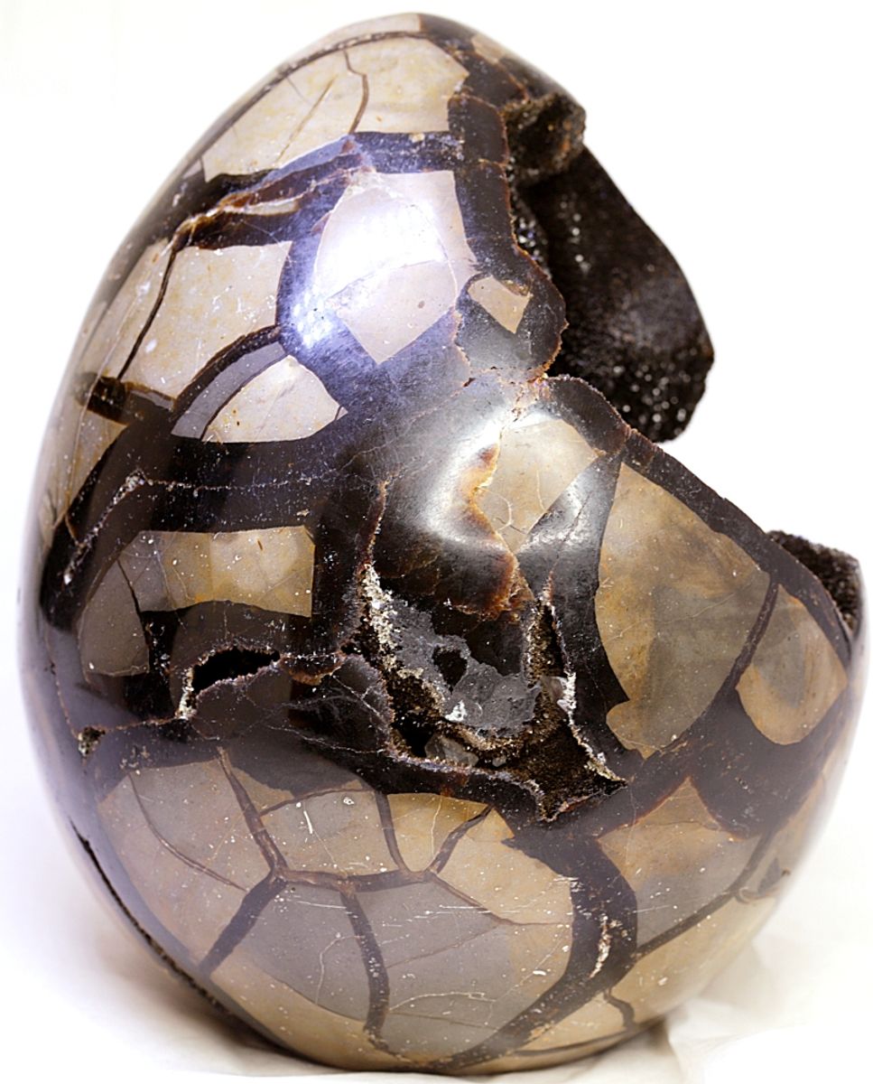 Septarian (