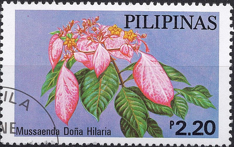 Blomster og planter, Australia og Oceania