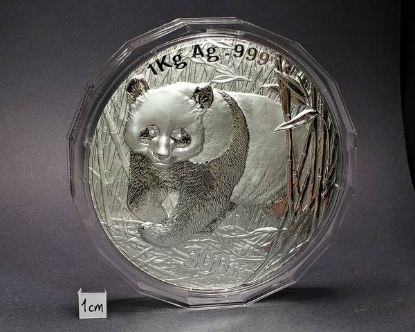 Bilde av 1 kg rent slv Panda - Kina: 300 yuan 2002