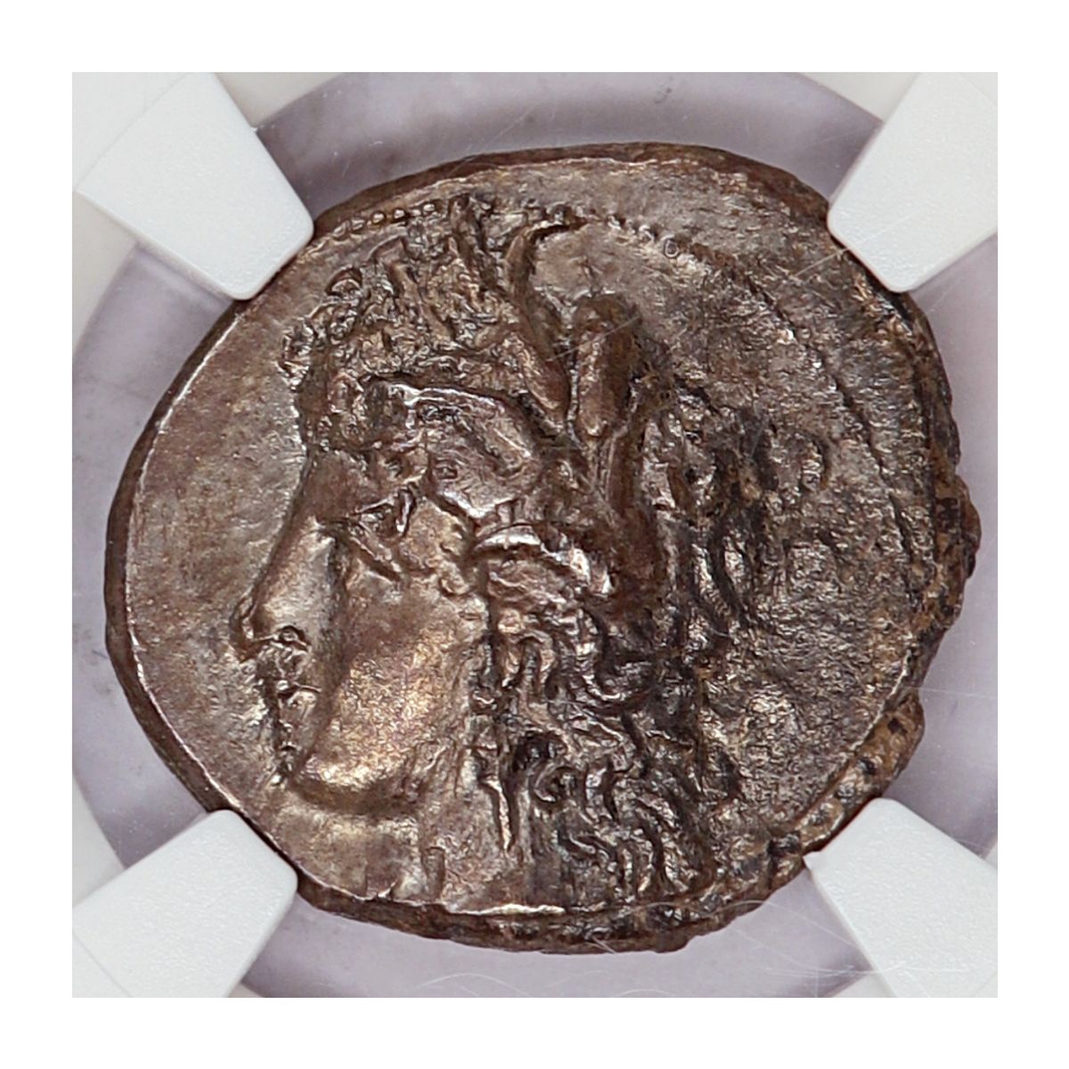 Metapont, didrakme, 330-280 f.Kr.