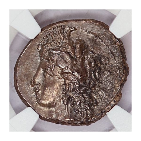 Hovedbilde Metapont, didrakme, 330-280 f.Kr.