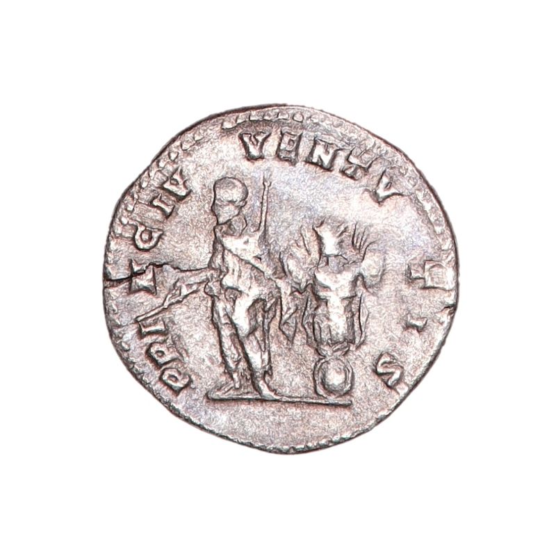 Gladiator, Geta, denar, 198-211
