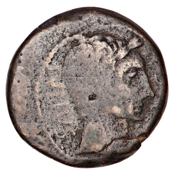 Hovedbilde Julius Caesar, dupondius, portrett