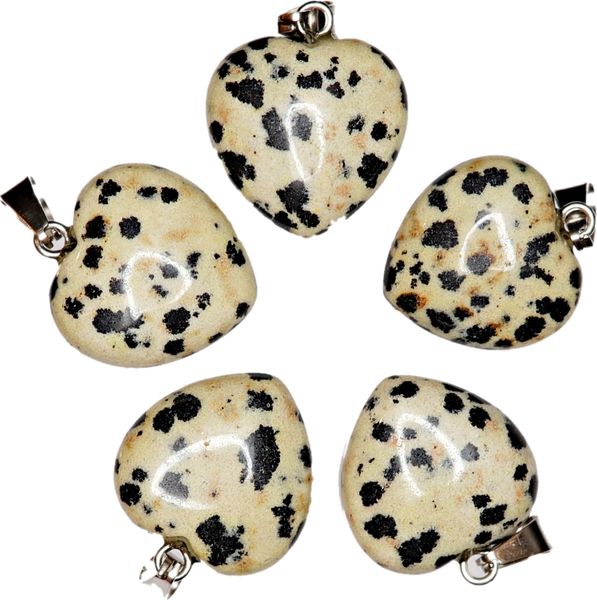 Hovedbilde Dalmatinerstein, hjerteanheng